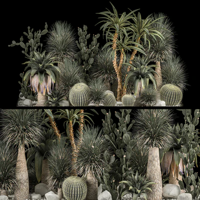 Collection of tropical plants of the desert 1117. cactus, yucca, prickly pear, thickets, bushes, garden, dracaena — Ver 1