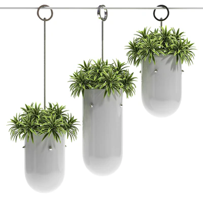 HANGING VASE 3 — Ver 2