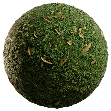 wild grass 080 — Descargar