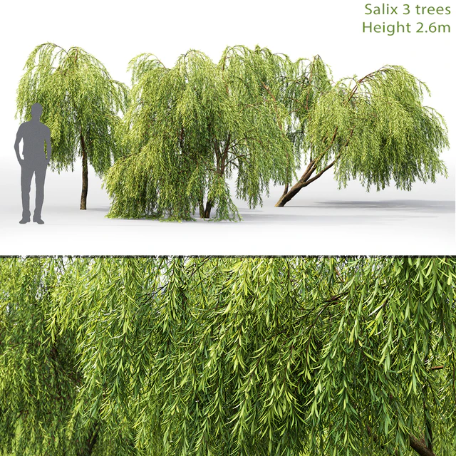 Willow — Скачать