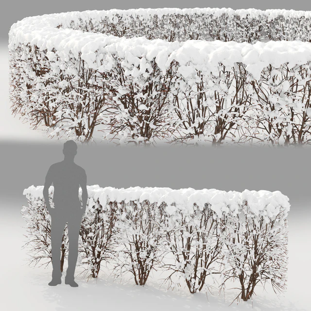 Winter  hedge — Скачать