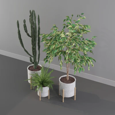 Plants collection 095 — Ver 5