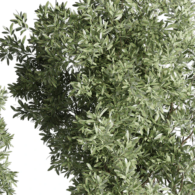 Collection Outdoor Indoor plant 52 concrete dirt vase pot tree — Скачать