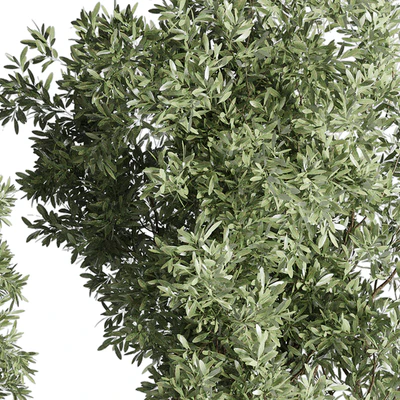 Collection Outdoor Indoor plant 52 concrete dirt vase pot tree — Вид 4