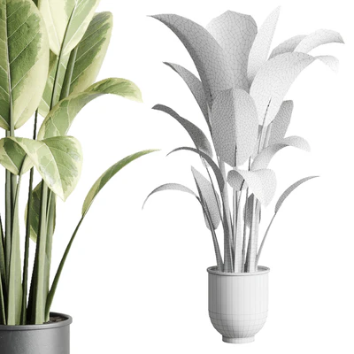 ficus elastica pot Indoor outdoor plant 229 concrete — Ver 4