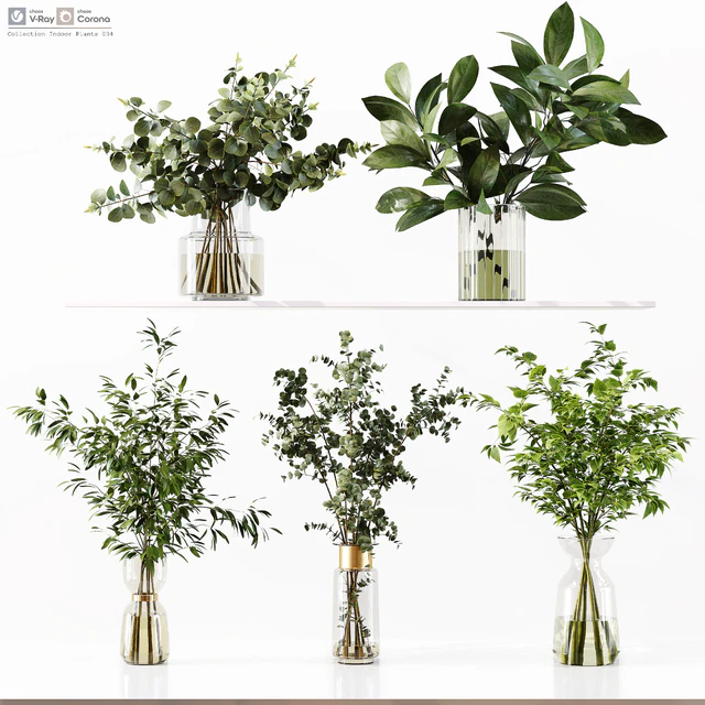 Collection Indoor Plants 034 — Descargar