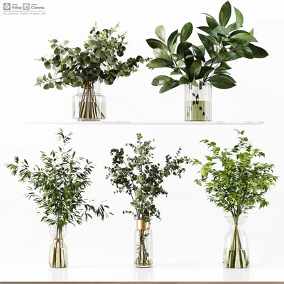 Collection Indoor Plants 034 — Ver 1
