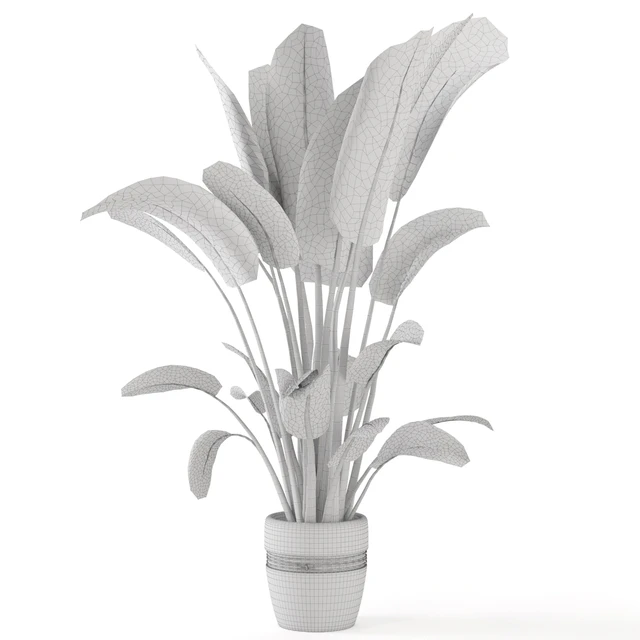 Indoor Plants in rusty Concrete Pot - Set 124 — Download