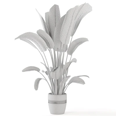 Indoor Plants in rusty Concrete Pot - Set 124 — View 5