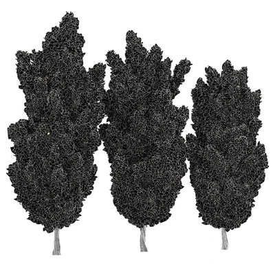 Italian Cypress High details Tree — Вид 5