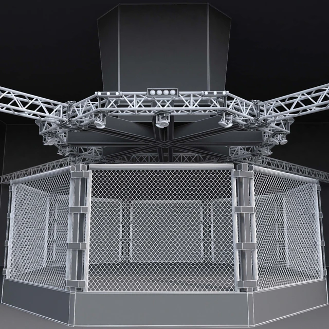 UFC Fighting Stage — Download