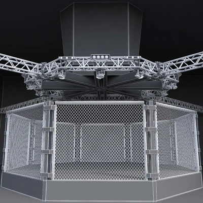UFC Fighting Stage — View 3
