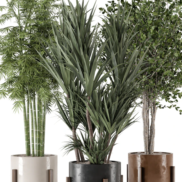 Indoor Plants in Combination of wood & concrete Pot - Set 723 — Скачать