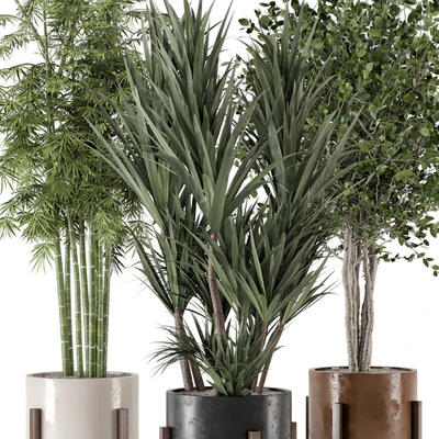 Indoor Plants in Combination of wood & concrete Pot - Set 723 — Вид 7