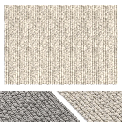 Pottery Barn Wool Rug — Ver 1