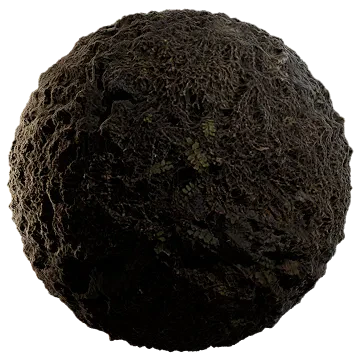 old mossy fern wall 003 — Descargar