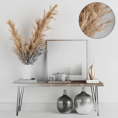 Decoration Set 01 pampas & Console — Ver 4