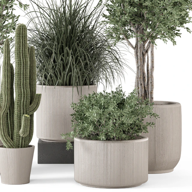 Indoor Plants  in rusty Concrete Pot - Set 1911 — Скачать