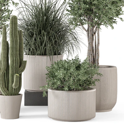 Indoor Plants  in rusty Concrete Pot - Set 1911 — Вид 7