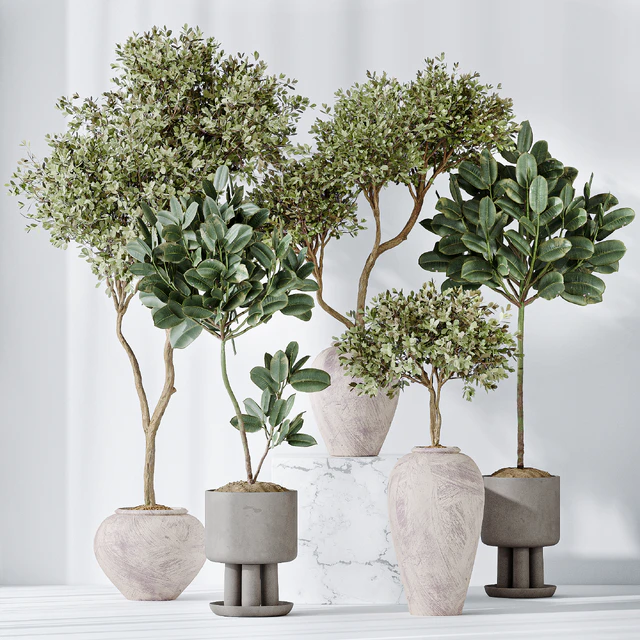 Elastica Abidjan Melany and Mission Olive Tree Vase 18 — Descargar