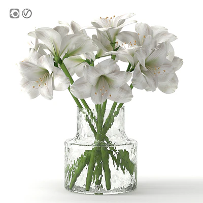 Bouquet 16 — Ver 1