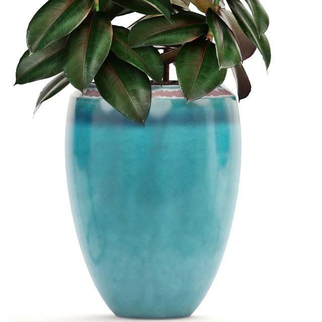 Collection of plants. Shelf with flowers, flower stand, pot, ficus, croton, alocasia, flowerpot, dracaena — Descargar