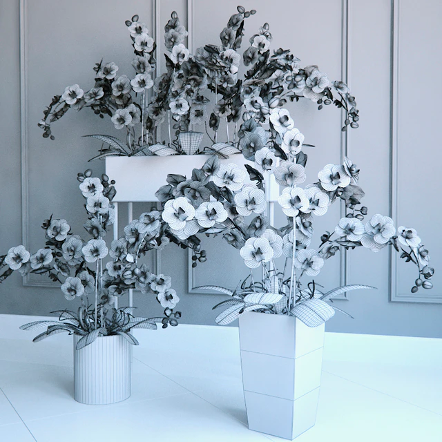 Phalaenopsis Orchids Set - 2 — Скачать