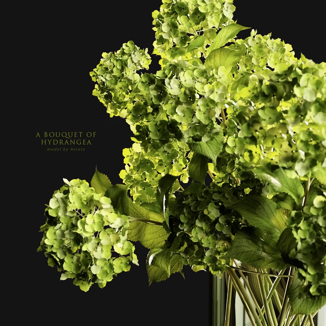 A bouquet of hydrangea — Descargar