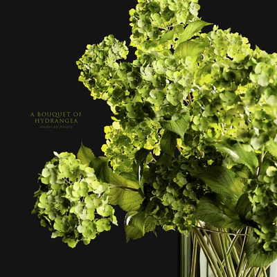 A bouquet of hydrangea — Ver 4