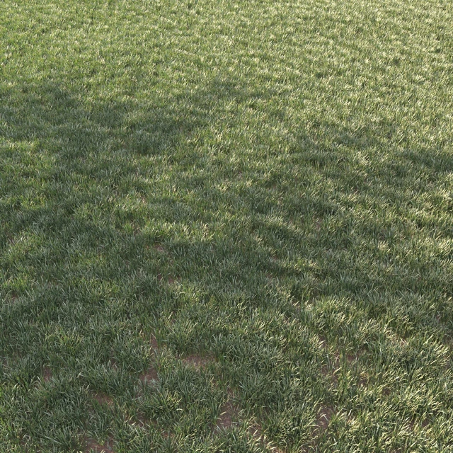 grass for landscape 11 — Скачать