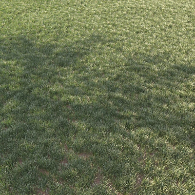 grass for landscape 11 — Вид 5
