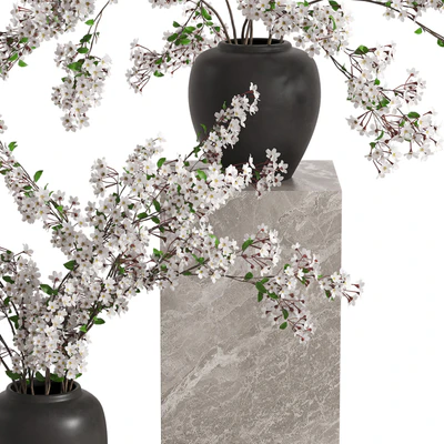 Vases with Branches White Cherry — Ver 4