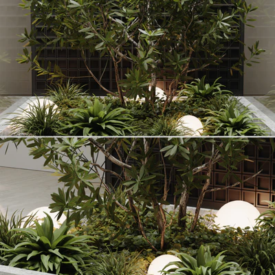 indoor plant set 60 — View 7