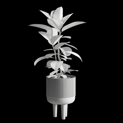 Indoor Plants Set 08 — Ver 4