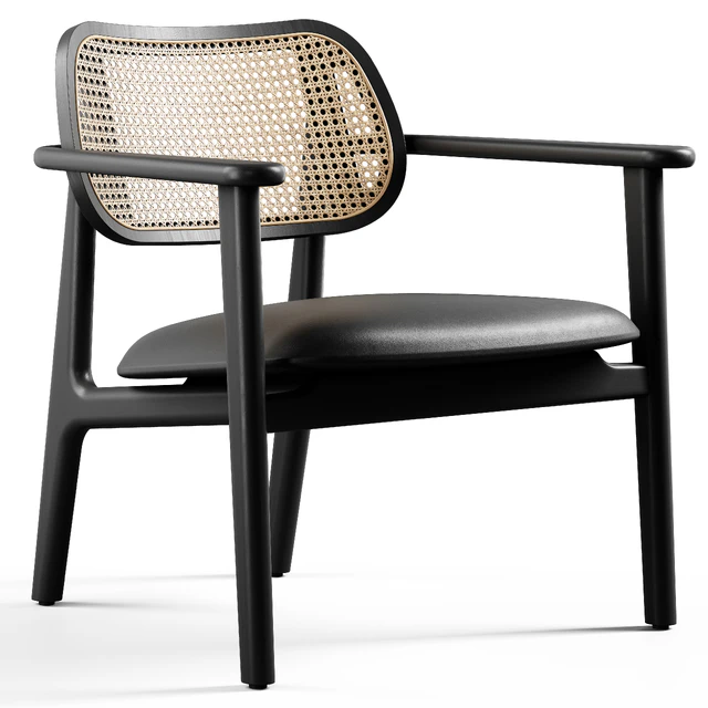 Vincent Sheppard - Titus lounge chair — Скачать