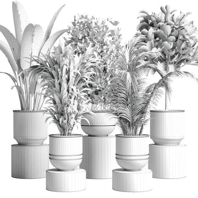 collection Indoor plant 115 metal dirt old vase handmade pot plant ravenala ficus rubbery palm — Descargar