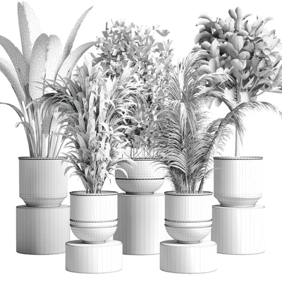 collection Indoor plant 115 metal dirt old vase handmade pot plant ravenala ficus rubbery palm — Ver 6