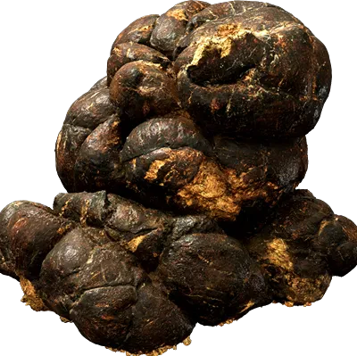 deer manure 001 — Скачать
