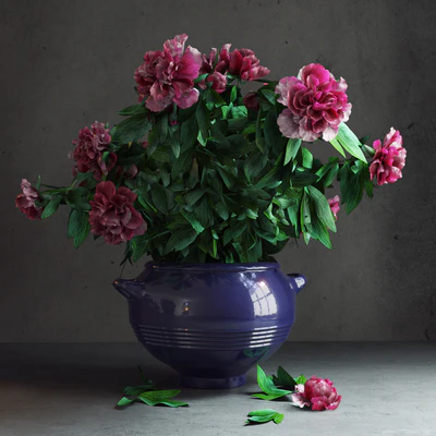 Peony Garden — Ver 1