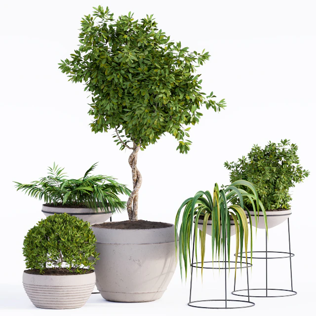 Outdoor Plants Full Set — Download