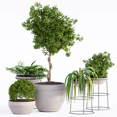 Outdoor Plants Full Set — View 1