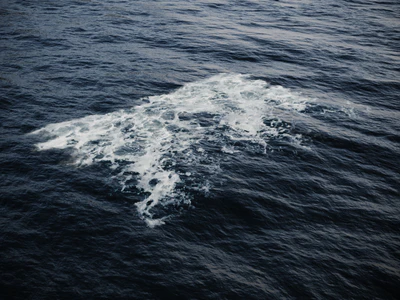 foam 003 — download