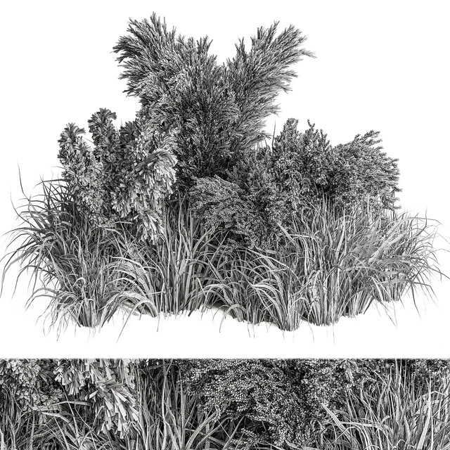 Mixed Pampas Plant Bush Set 95 — Descargar