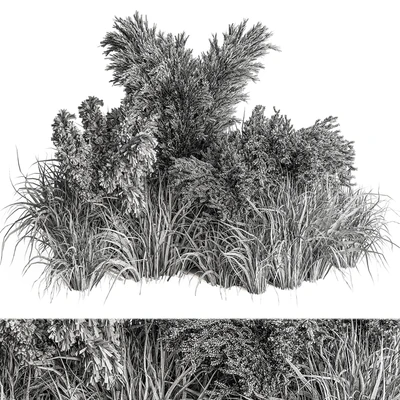 Mixed Pampas Plant Bush Set 95 — Ver 5