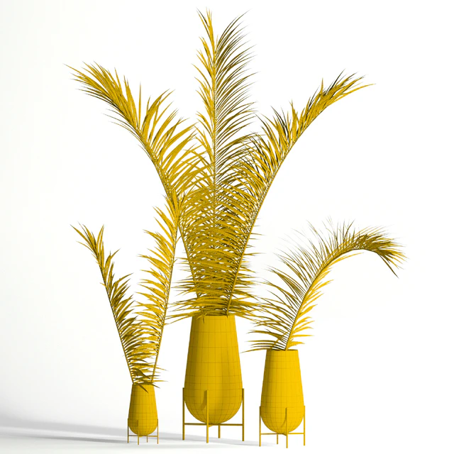 Dry palm leaves in Echasse vases — Descargar