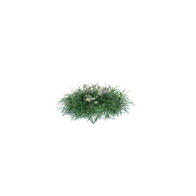 004 — Descargar