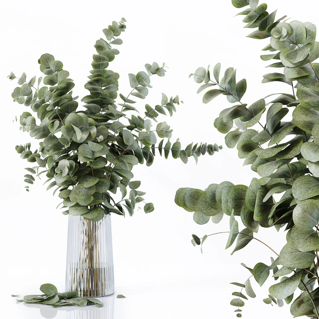 Decorative Set 170 — Descargar