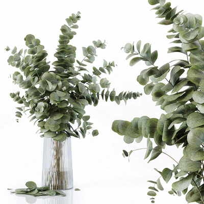 Decorative Set 170 — Ver 7