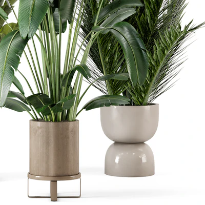 Indoor Plants in Ferm Living Bau Pot Large - Set 273 — Ver 6