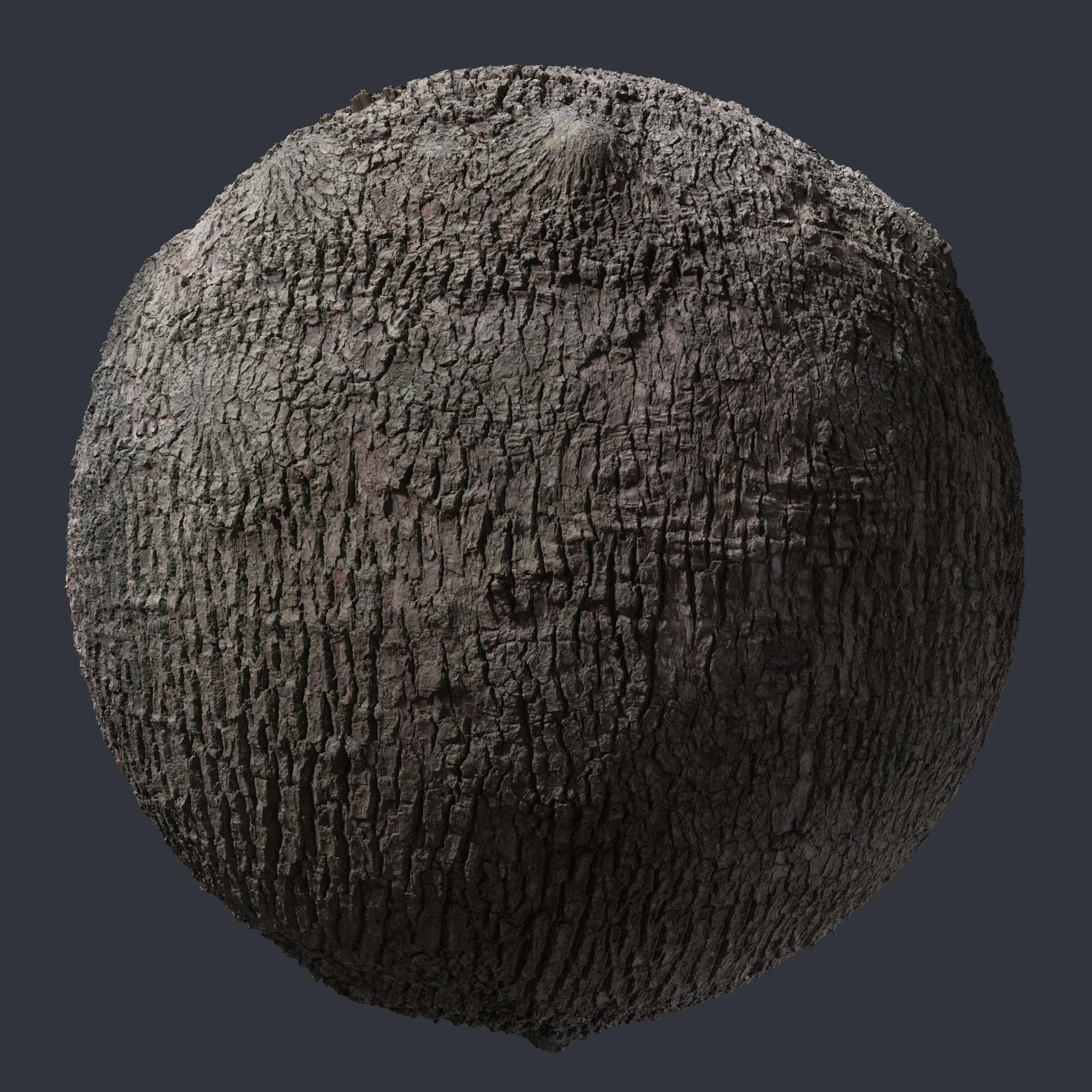 ash bark 001 — Descargar